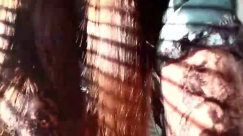 Snapshot of eva_depp chatting on 01/22/25, 12:27 Evaa Depp online show from 01/22/25, 12:27