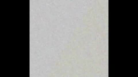 Snapshot of eva_gr chatting on 03/02/25, 10:24 Eva online show from 03/02/25, 10:24