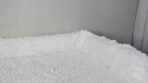 Snapshot of eva_varnerr chatting on 02/03/25, 01:19 eva varnerr online show from 02/03/25, 01:19