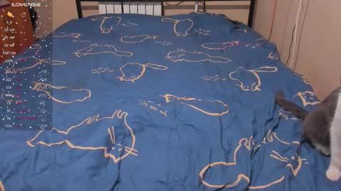 Eva online show from 01/13/26, 03:06