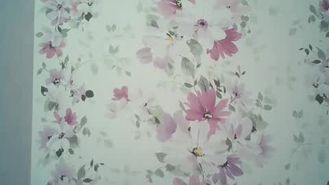 Evelina online show from 04/06/26, 01:01