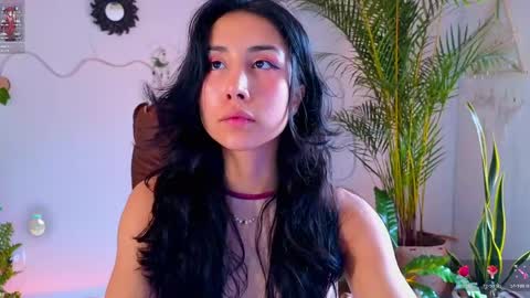 Im Eve or Chelle Next Stream 191224  online show from 05/16/26, 07:34