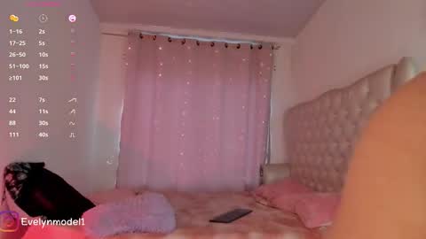 Snapshot of evelyn_evelyn chatting on 10/23/25, 04:06 evelyn evelyn online show from 10/23/25, 04:06