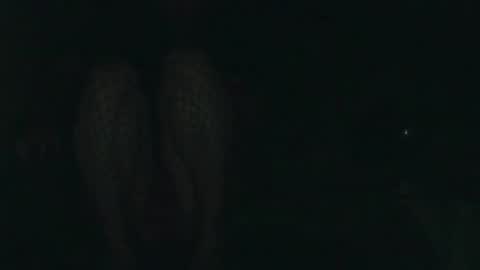 evermore8807 online show from 12/14/25, 04:07