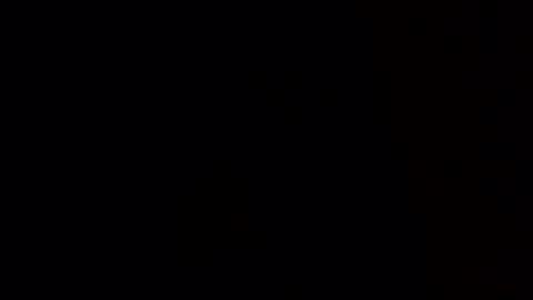 Evocation online show from 02/11/25, 05:47