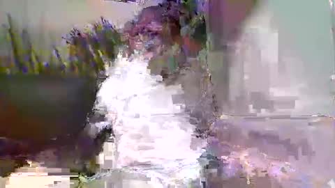 Naaktloper online show from 02/09/26, 03:49