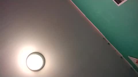 Snapshot of experttreecompany chatting on 02/16/26, 08:43 experttreecompany online show from 02/16/26, 08:43