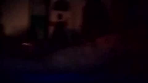 Snapshot of experttreecompany chatting on 03/03/26, 12:11 experttreecompany online show from 03/03/26, 12:11