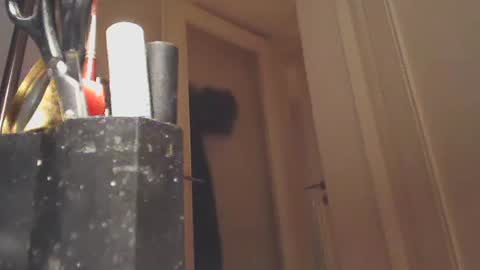 EZCODA online show from 01/26/25, 10:57