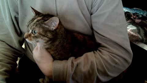 Fabius online show from 02/05/25, 08:54