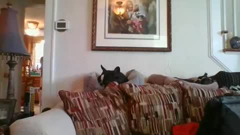 fairmount31 online show from 02/19/25, 07:16