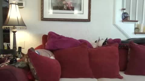 fairmount31 online show from 02/13/26, 01:51