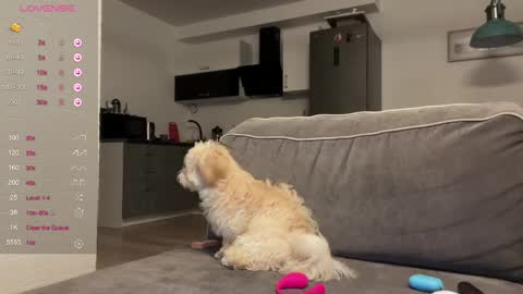 Bloom  online show from 04/22/26, 06:53