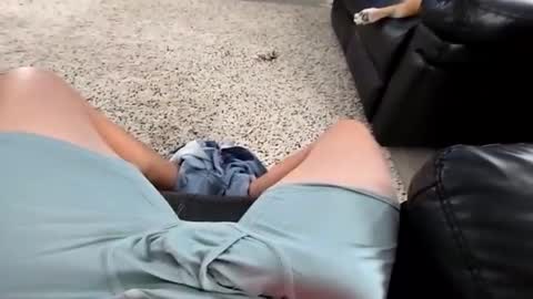 faker1414 online show from 01/13/26, 05:18