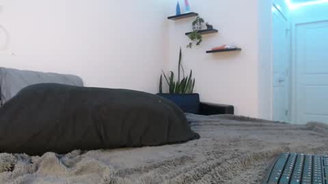 Snapshot of fallonxgray chatting on 03/08/25, 11:28 Fallon Gray online show from 03/08/25, 11:28