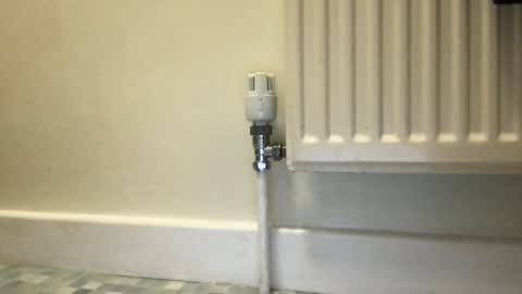 Alex online show from 12/03/24, 09:55