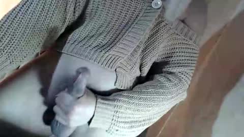 Snapshot of fantasticcock69_daniella chatting on 06/09/26, 12:17 DANIELLA - DONT FORGET TO GIVE ME A THUMBSU UP online show from 06/09/26, 12:17