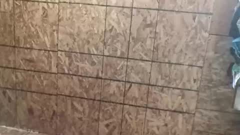 farrisshane1985 online show from 04/07/26, 02:23