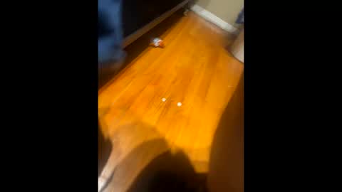 Snapshot of fatz71056 chatting on 10/16/25, 10:16 fatz71056 online show from 10/16/25, 10:16