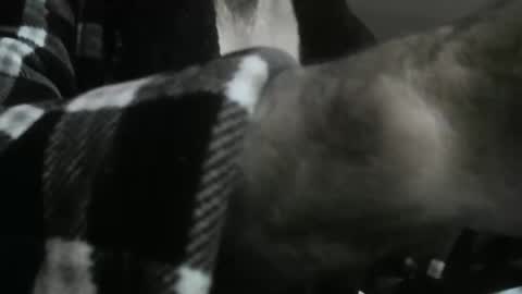 feardubh online show from 10/31/25, 09:43