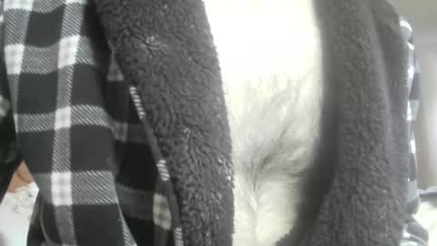 feardubh online show from 02/16/26, 10:44