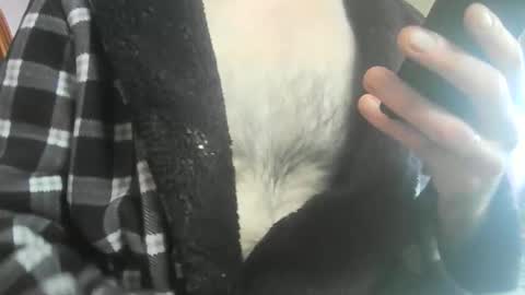 feardubh online show from 02/20/26, 11:43