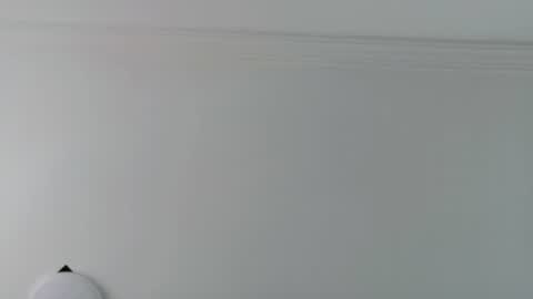 Snapshot of feelina_firesoul chatting on 08/07/26, 04:53 Feelena online show from 08/07/26, 04:53