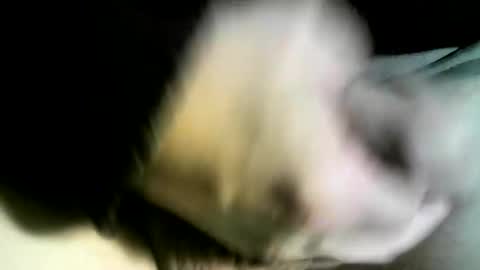 Snapshot of felicaste chatting on 02/09/25, 03:01 felicaste online show from 02/09/25, 03:01