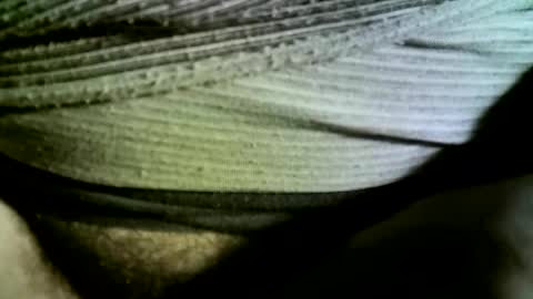 Snapshot of felicaste chatting on 02/14/25, 09:24 felicaste online show from 02/14/25, 09:24