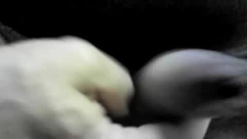 Snapshot of felicaste chatting on 09/17/25, 10:33 felicaste online show from 09/17/25, 10:33