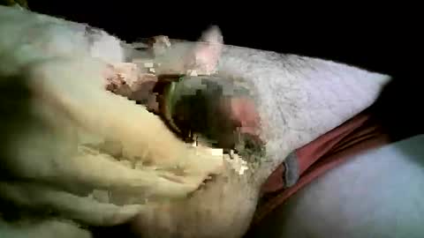 Snapshot of felicaste chatting on 11/26/25, 08:43 felicaste online show from 11/26/25, 08:43