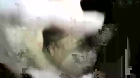 felicaste online show from 12/02/25, 08:59