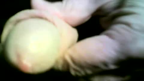 felicaste online show from 04/17/26, 09:18