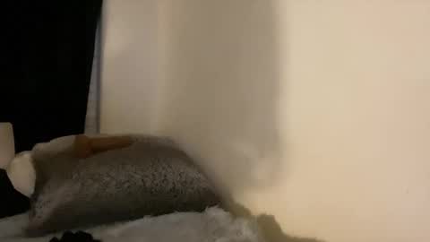 this is justice tricia a bigelow. she was fucking my husband tom girardi online show from 02/03/26, 08:41