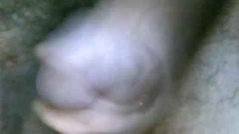 fer_2197 online show from 10/31/25, 01:45