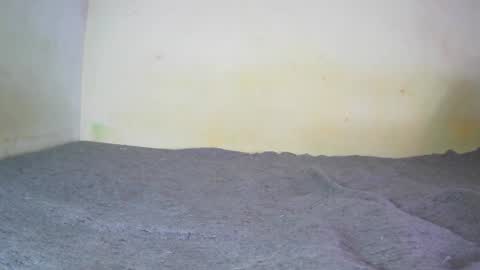 Fern Tlk online show from 12/20/24, 07:17