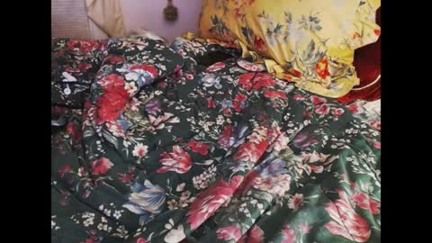 ferra_testarossa online show from 04/09/26, 02:33