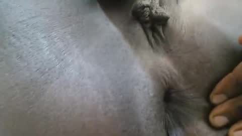 Ferie online show from 09/27/25, 04:06