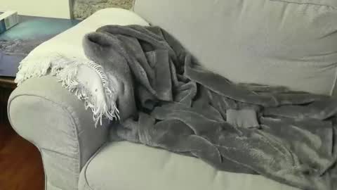 Fid online show from 01/06/26, 08:45