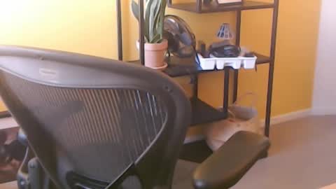 filip907 online show from 09/25/25, 11:25