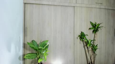 filletatouee online show from 11/10/25, 04:44