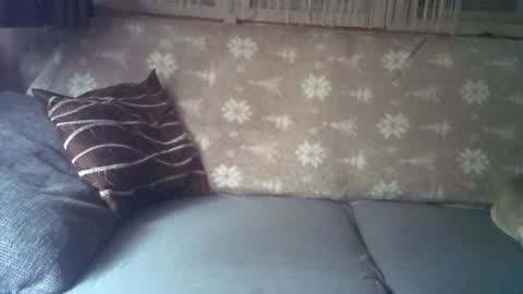 Jane and Findo online show from 01/06/25, 08:24