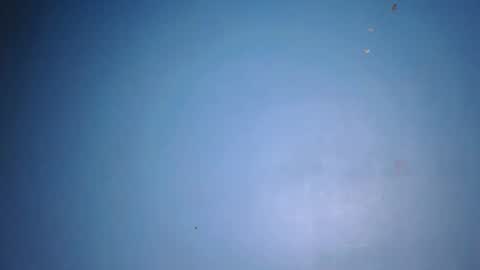 fine_ass24 online show from 05/29/26, 05:27