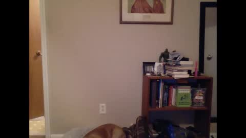 FitBit online show from 03/09/25, 09:46