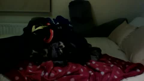 Fitbut online show from 01/30/25, 07:48