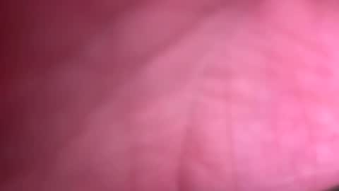 fittallhungdilf online show from 12/20/24, 03:42