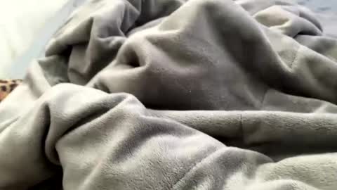 Jat online show from 12/21/24, 03:53