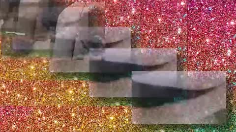 Flextle Bunny online show from 01/17/26, 11:30