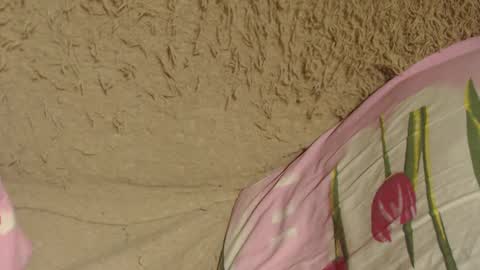 say meow and send tip  online show from 12/09/24, 07:07