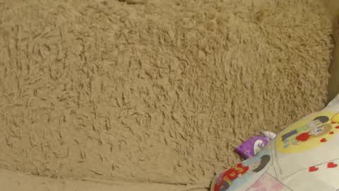 say meow and send tip  online show from 12/26/24, 01:07